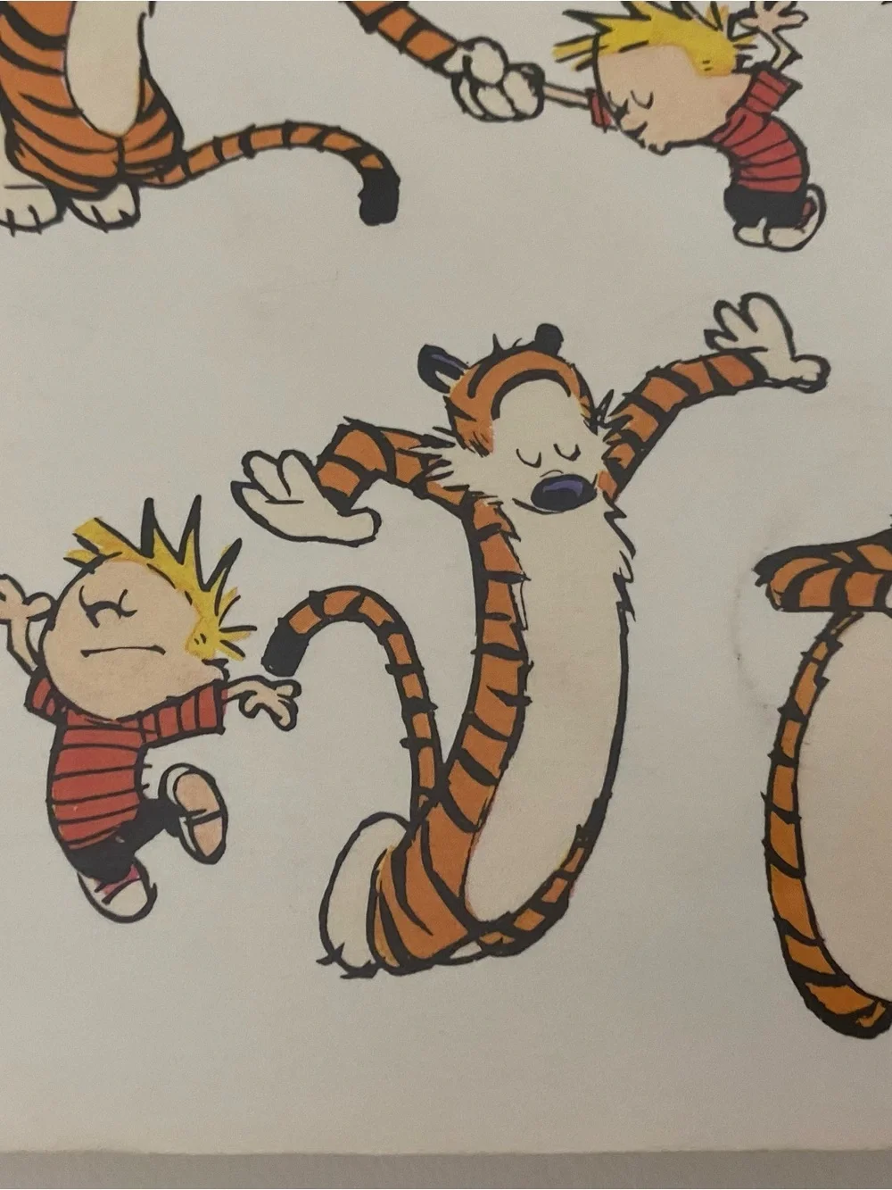 The Days Are Just Packed Calvin and Hobbes Bill Watterson Comic Collection 1993